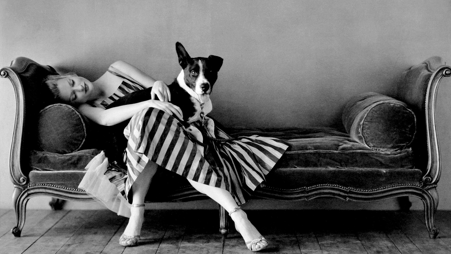 Joe Grisham American Photographer