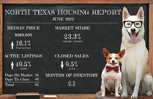 Susie's Quarterly Results