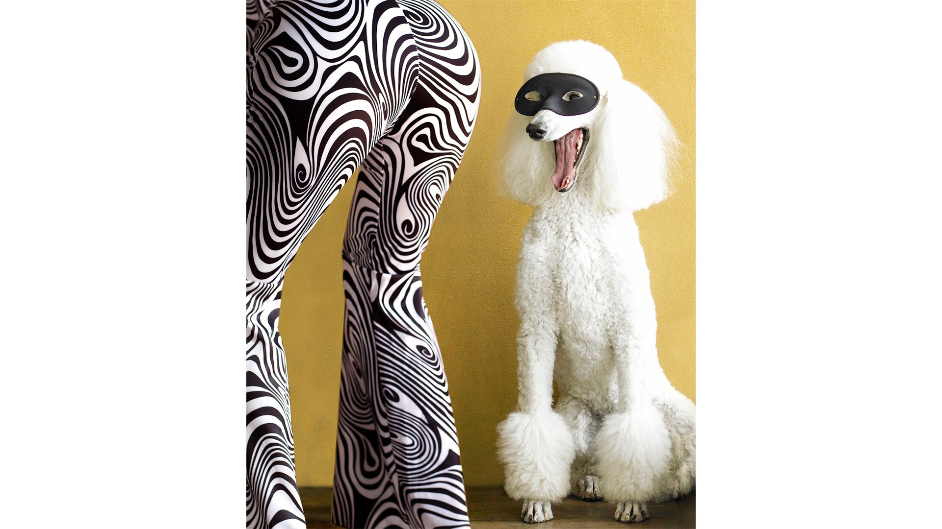 Client: Hooray For The Underdog! Client: Hooray For The Underdog!